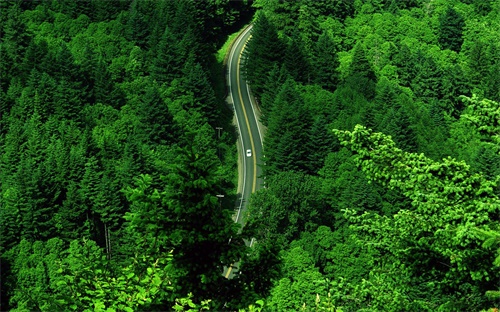 跆拳道广告词，韩国流行武术跆拳道写串词引热议
